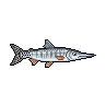 Bicuda