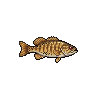 Black bass de boca pequena
