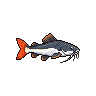 Pirarara